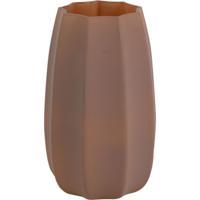 Vaas Evalyn M bruin