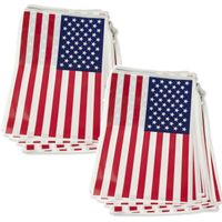 2x USA vlaggenlijnen 7 meter