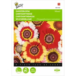 Chrysanthemum, Ganzebloem gemengd