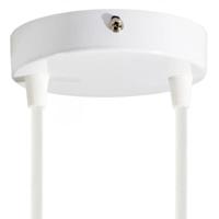 Plafondkap 2 uitgangen wit rond 12 cm