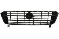 Radiateurgrille 6502072098990P