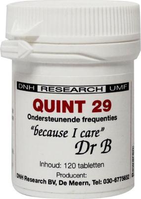 DNH Quint 29