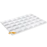 VanDyck Astro 90 Dekbed Solo