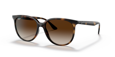 Zonnebril Ray-Ban -0RB4378-710/13-54 Havana Gradient Brown