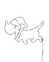 HEMA Led takkie (multi)