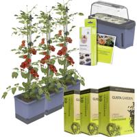 Gusta Garden Tomaten-Power-Set 9-teilig blau TOM TOMATO / HARRY HERBS / Zubehör / W07069 Plantcontainer