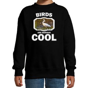 Sweater birds are serious cool zwart kinderen - vogels/ lepelaar vogel trui