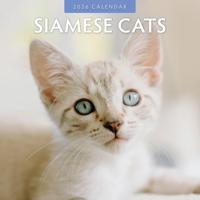 Siamees Kalender 2026