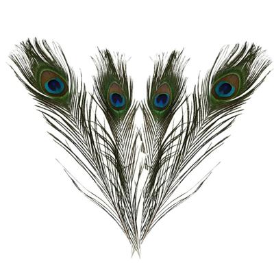 Decoratie pauwenveren - 10x - 25-30 cm - veren - hobby veertjes