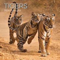 Tijger Kalender 2026