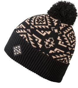 Dakine Silverton Beanie Black