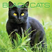 Zwarte Katten Kalender 2026 Zwarte Katten Kalender 2026