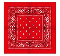 Boerenzakdoek Rain drop 54x54 - Rode zakdoek