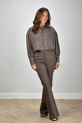 Joseph broek Tafira JF009416 mushroom