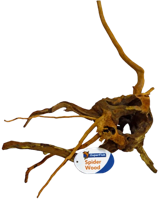 Superfish Spiderwood small