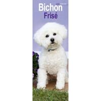 Bichon Frise Kalender 2026 Slimline