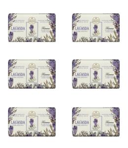 Nesti Dante 6 stuks fiorentini lavanda zeep 250gr.