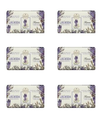 Nesti Dante 6 stuks fiorentini lavanda zeep 250gr.