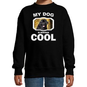 Newfoundlander honden trui / sweater my dog is serious cool zwart voor kinderen