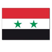 Gevelvlag/vlaggenmast vlag Syrie 90 x 150 cm   -