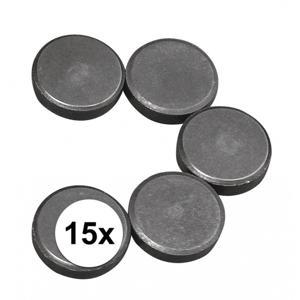 Rayher hobby en knutselen magneten - 15x stuks - formaat D20 x H5 mm - metaal - rond