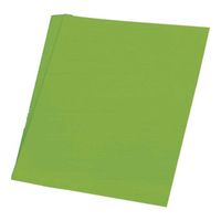Fluor kleur karton groen 48 x 68 cm - thumbnail