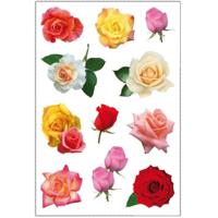 Stickervel met 33x Gekleurde rozen bloemen stickers - kinderstickers - stickervellen - knutselspulle - thumbnail