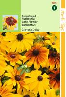 Zaden Rudbeckia Zonnehoed Gloriosa Daisy gemengd Hortitops - Hortitops