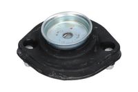 Veerpoot SSM10132