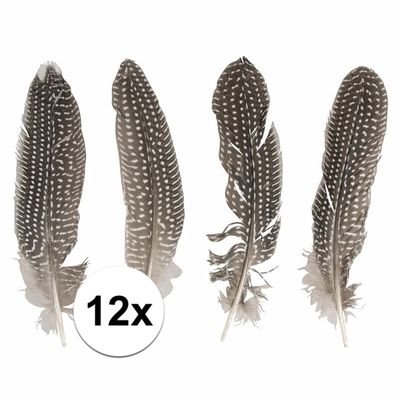 12x Fazanten veren