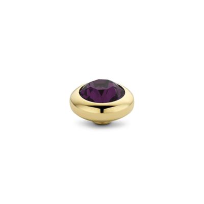 Melano Vivid Basic CZ Steentje Aubergine | Goud