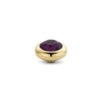 Melano Vivid Basic CZ Steentje Aubergine | Goud