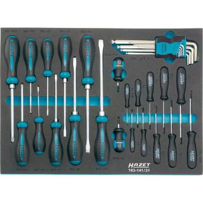 HAZET Schroevendraaierset 163-141/31 - Kruiskop profiel PH, Binnen-zeskant-profiel, Sleufprofiel, Binnen-TORX®-profiel - 31-delig - 0,6 x 3,5 - 2 x 12