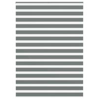 VidaXL Zebra rolgordijn 165x230 cm stofbreedte 160,9 cm donkergrijs