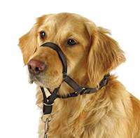 Training harnas maxi coach 54 cm zwart