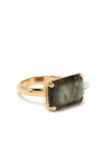 Wouters & Hendrix bague Serpentine Statement - Or