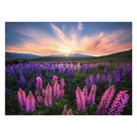 Ravensburger legpuzzel lupinen, 1000st.