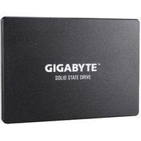 Gigabyte SSD 256GB