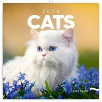 Katten Kalender 2026