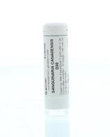 Homeoden Heel Sanguinaria canadensis D30 6 Gram