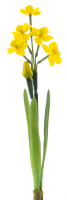 Narcissus Crailo spray yellow 50 cm kunstbloem - Nova nature