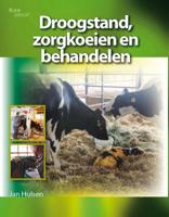 Droogstand, zorgkoeien en behandelen (Paperback)