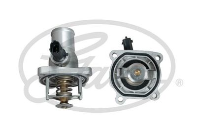 Thermostaat, koelvloeistof TH611105G1