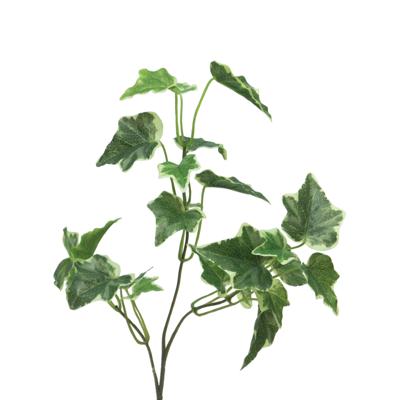 Kunsttak / kunstbloem Hedera - 55 cm - lichtgroen - boeket opvulling bladlichtgroen