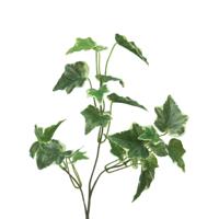 Kunsttak / kunstbloem Hedera - 55 cm - lichtgroen - boeket opvulling bladlichtgroen