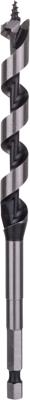 Bosch Accessoires Houtslangenboor, zeskant 12 x 100 x 160 mm, d 6,35 mm 1st - 2608585699