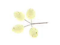 Paasdecoratie Eieren op stok Geel