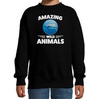 Sweater haaien amazing wild animals / dieren trui zwart voor kinderen - thumbnail