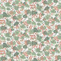 Midbec FC Klara & Tove- Vinbärsplock White/red - 26018