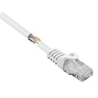 Renkforce RJ45 Netwerkkabel, patchkabel CAT 5e U/UTP 0.25 m Wit Snagless 1 stuk(s)